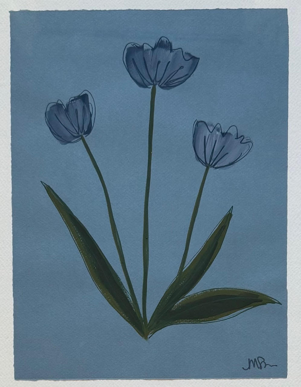 Bluebird Gray