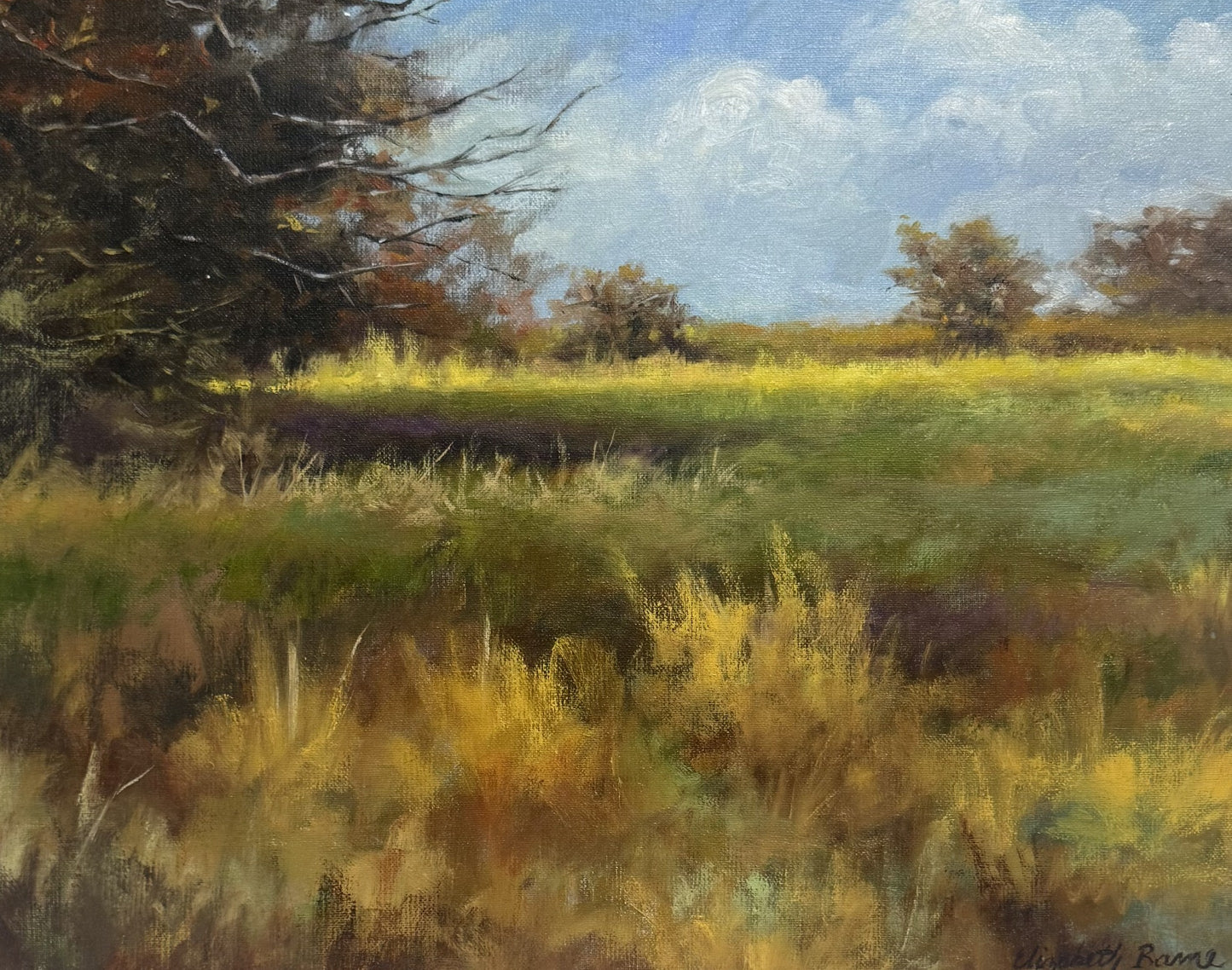 Mulberry Park Sunlit Field