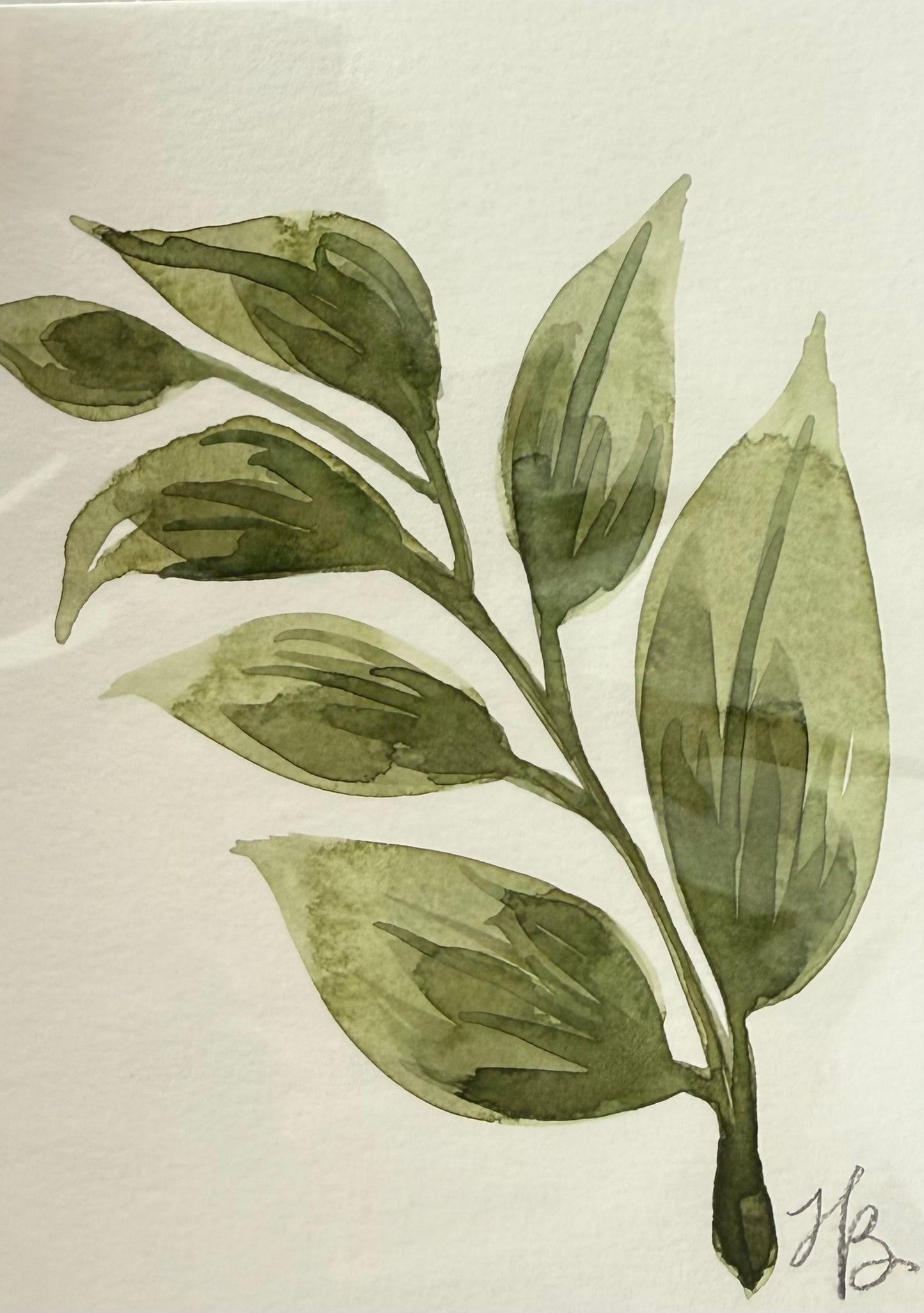 Leafy Green 12
