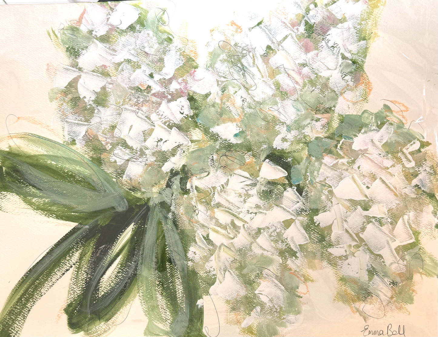 White Hydrangea Bloom