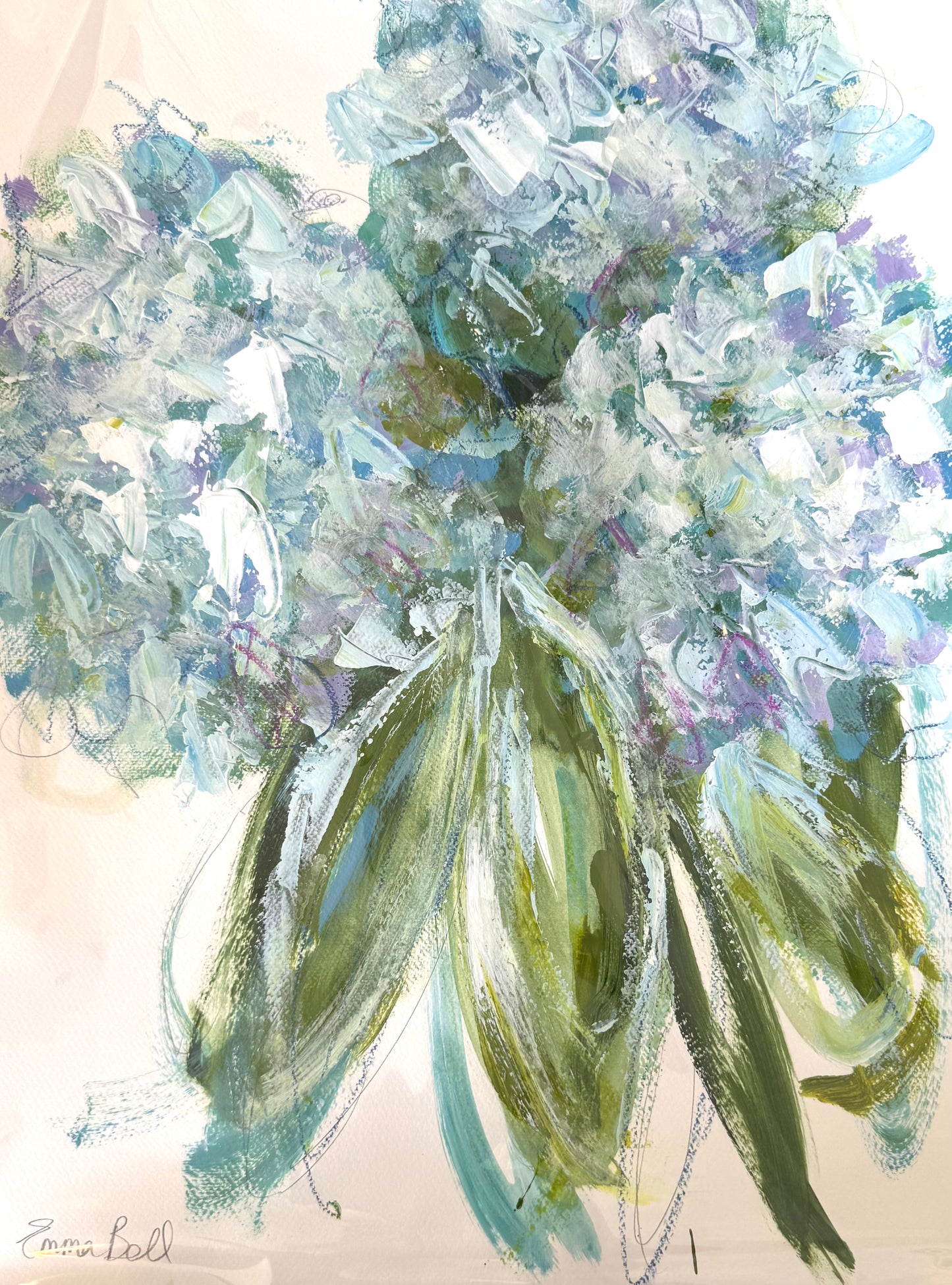 Aqua Hydrangea Bloom!
