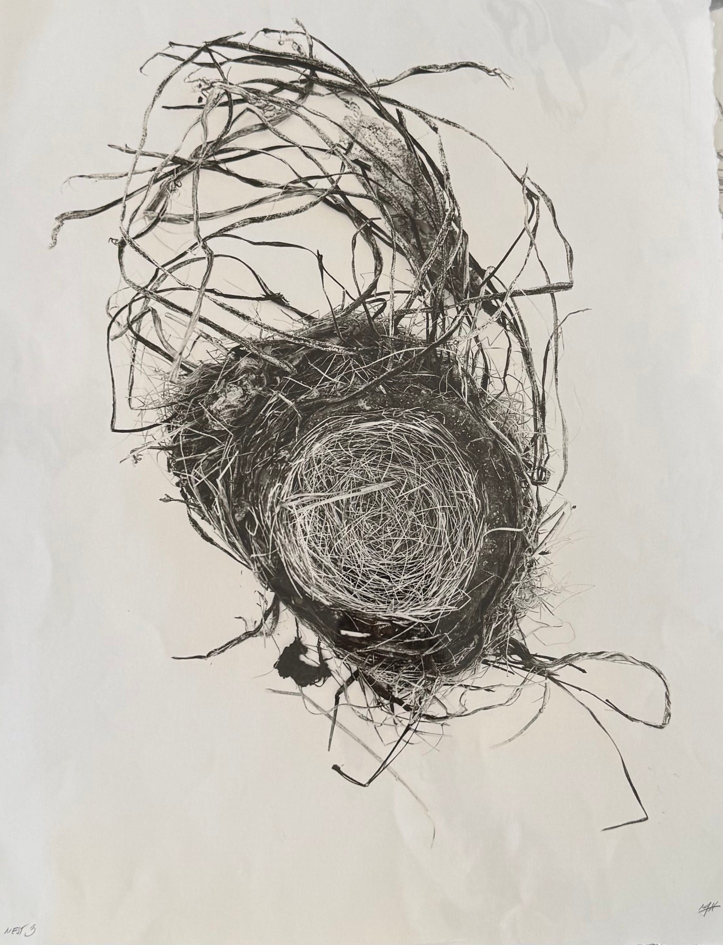 Nest 3 Large