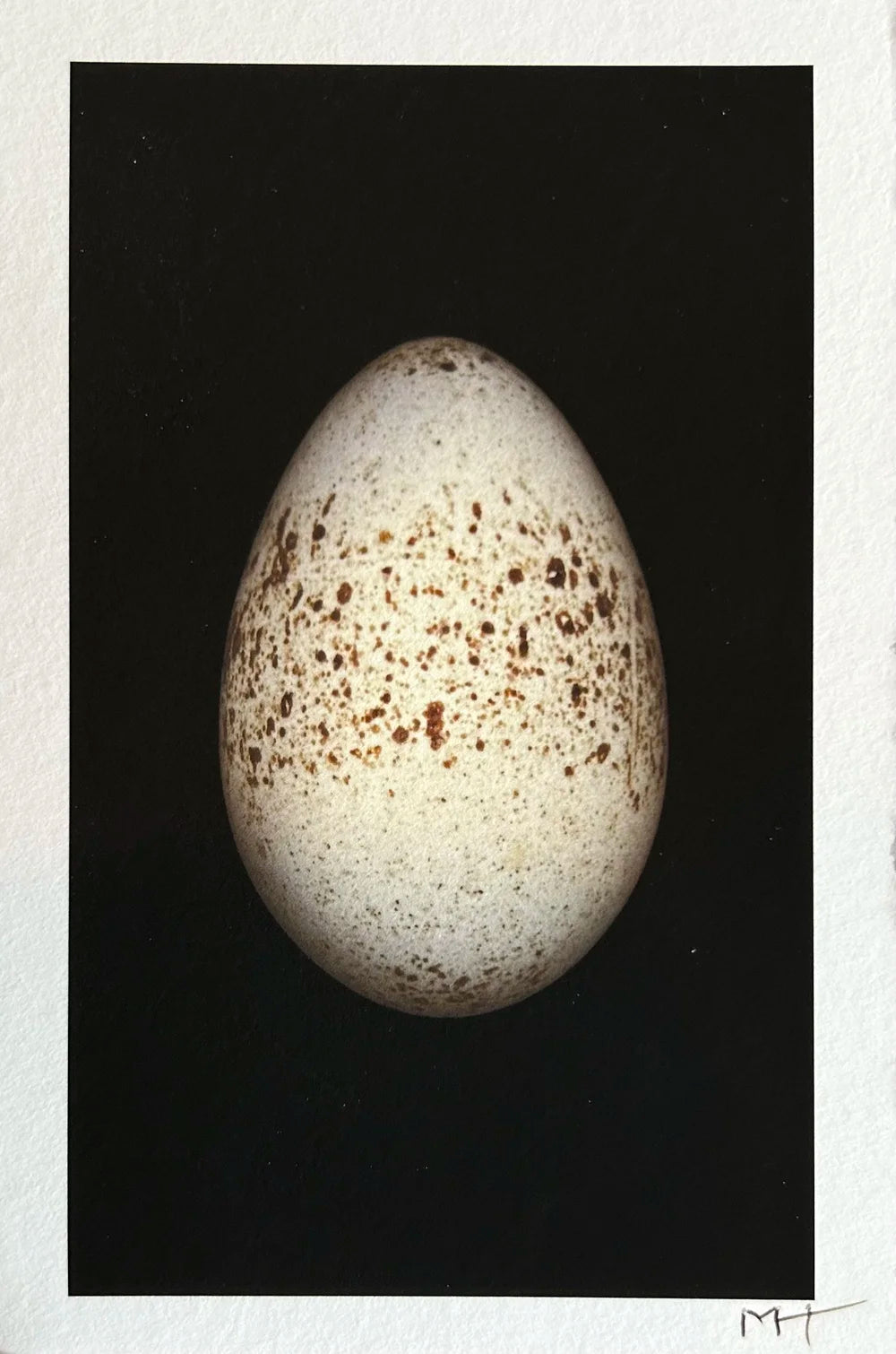 Big Egg Small