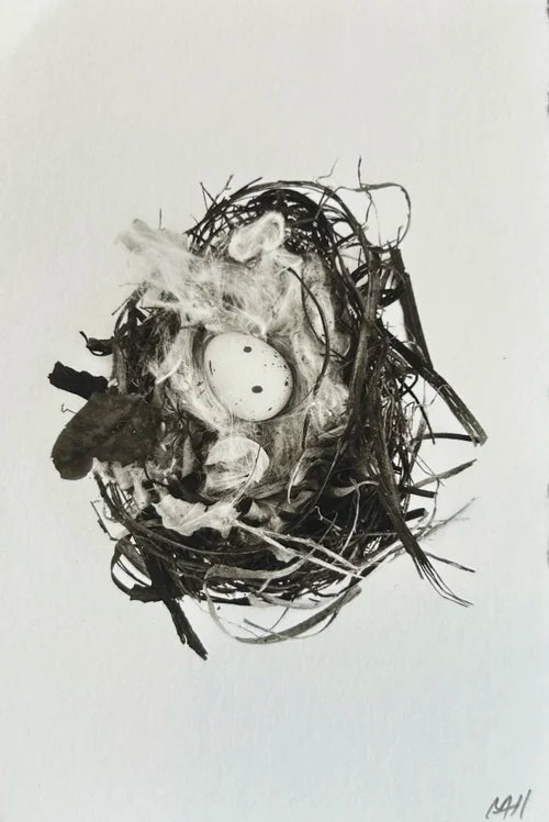 One Egg