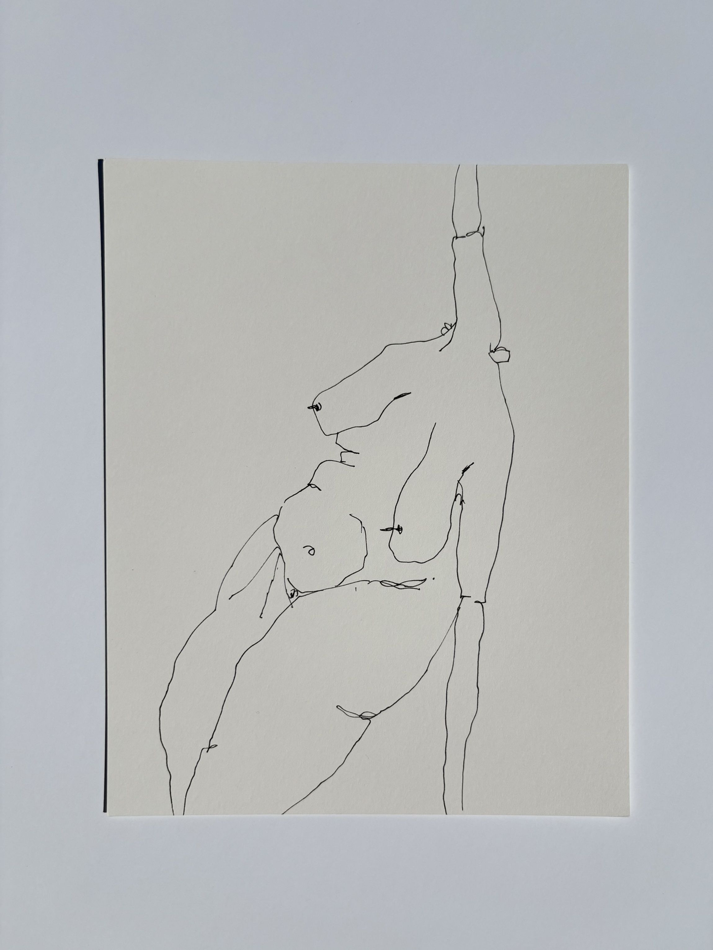 Line Drawing 8