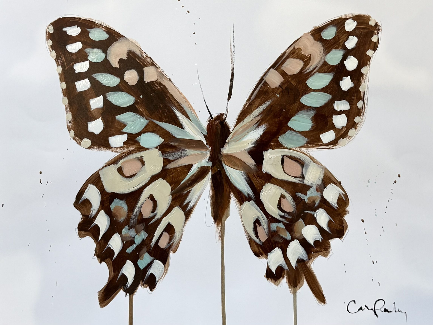 Brown and Blue Butterfly