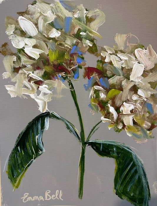 Botanical White Hydrangeas