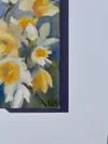 Daffodils