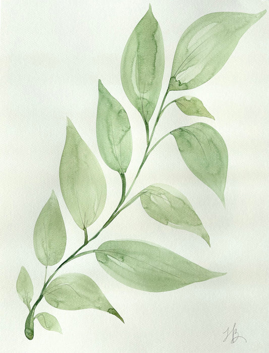 Big Leafy Green 2