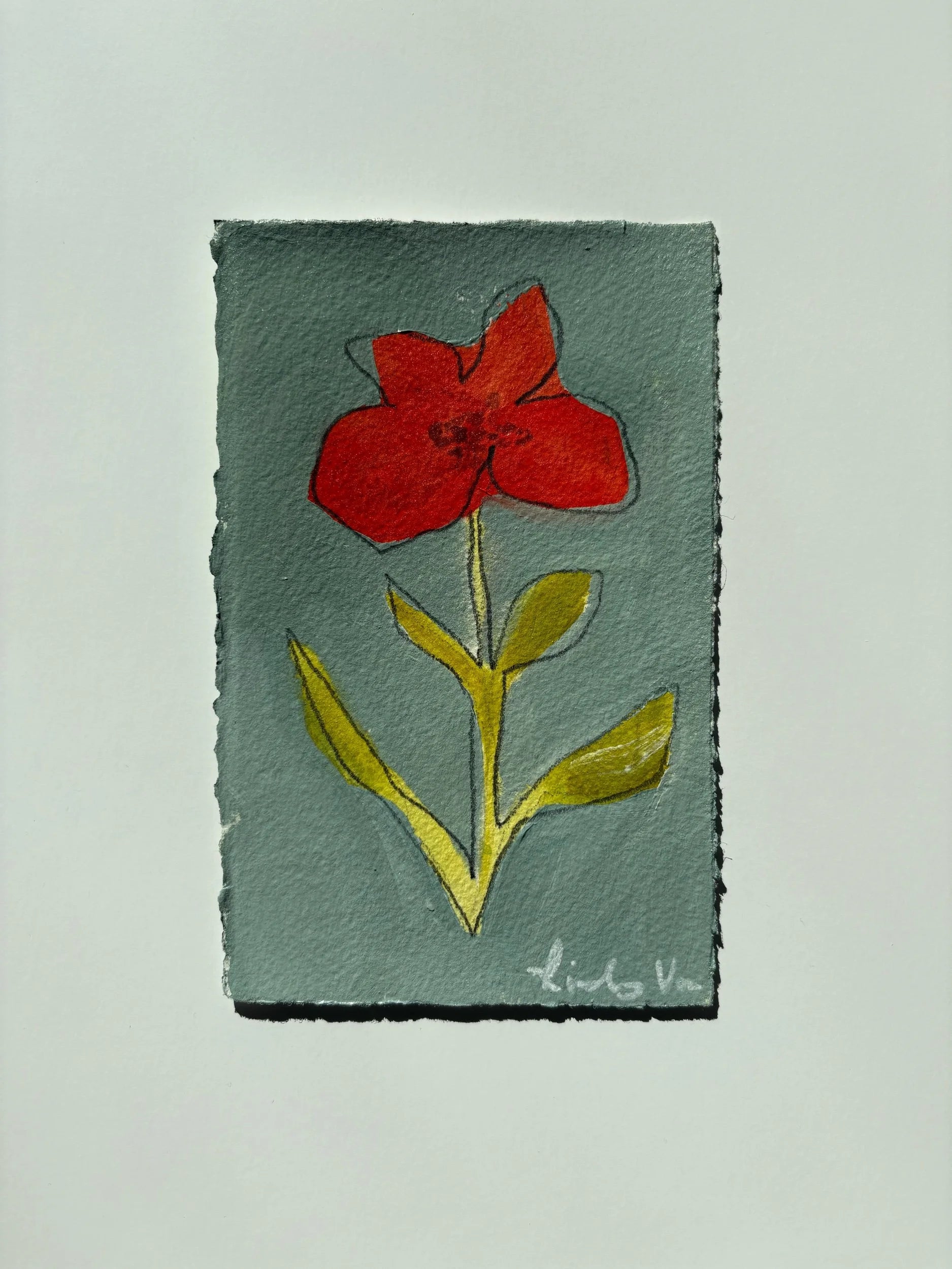 Poppy 4