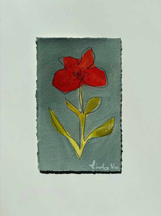 Poppy 4