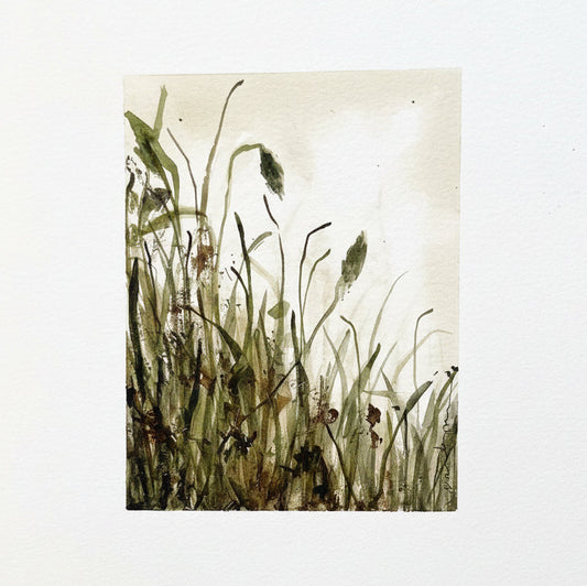Swamp Watercolor