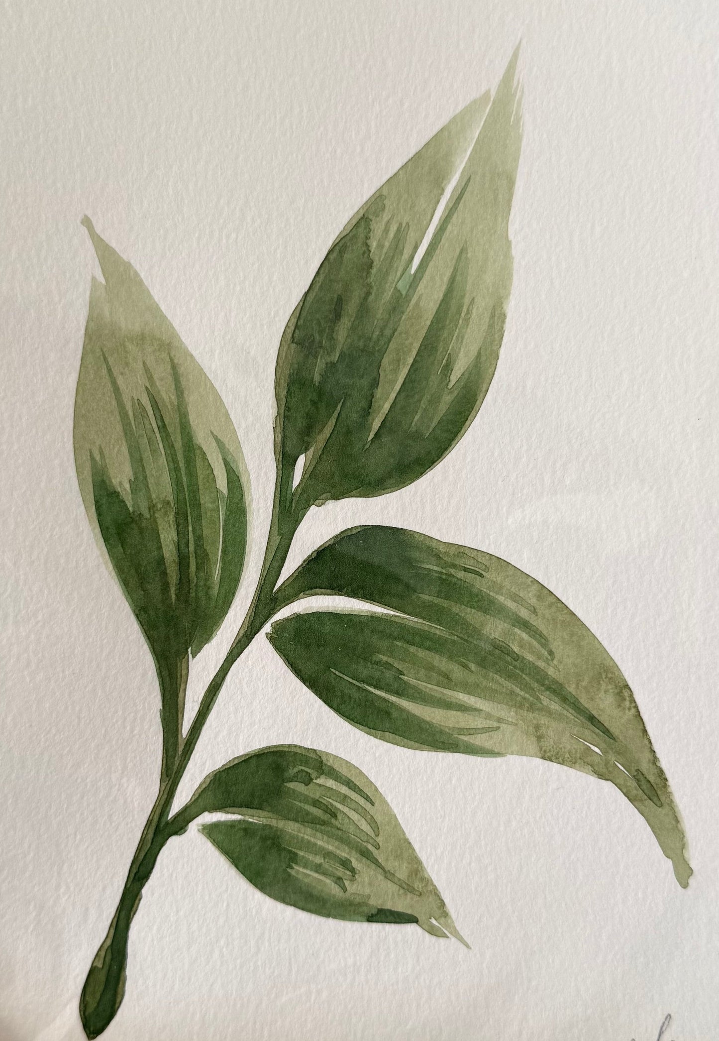 Watercolor Leaf III