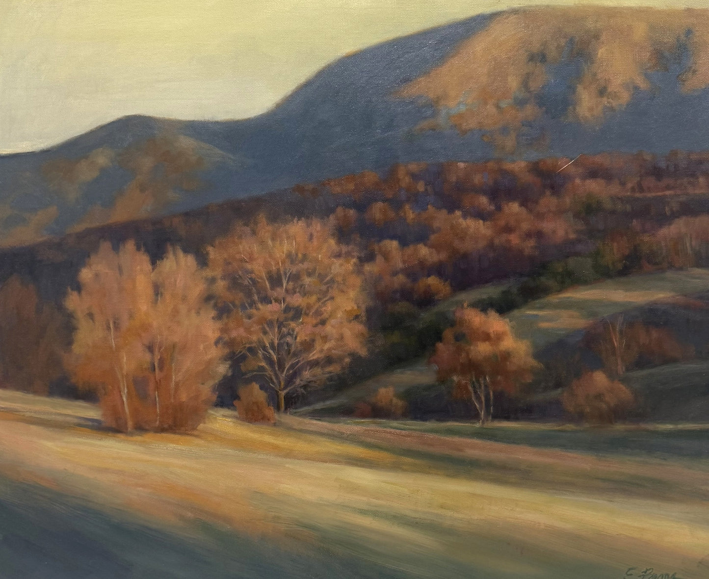 Light Before Dusk