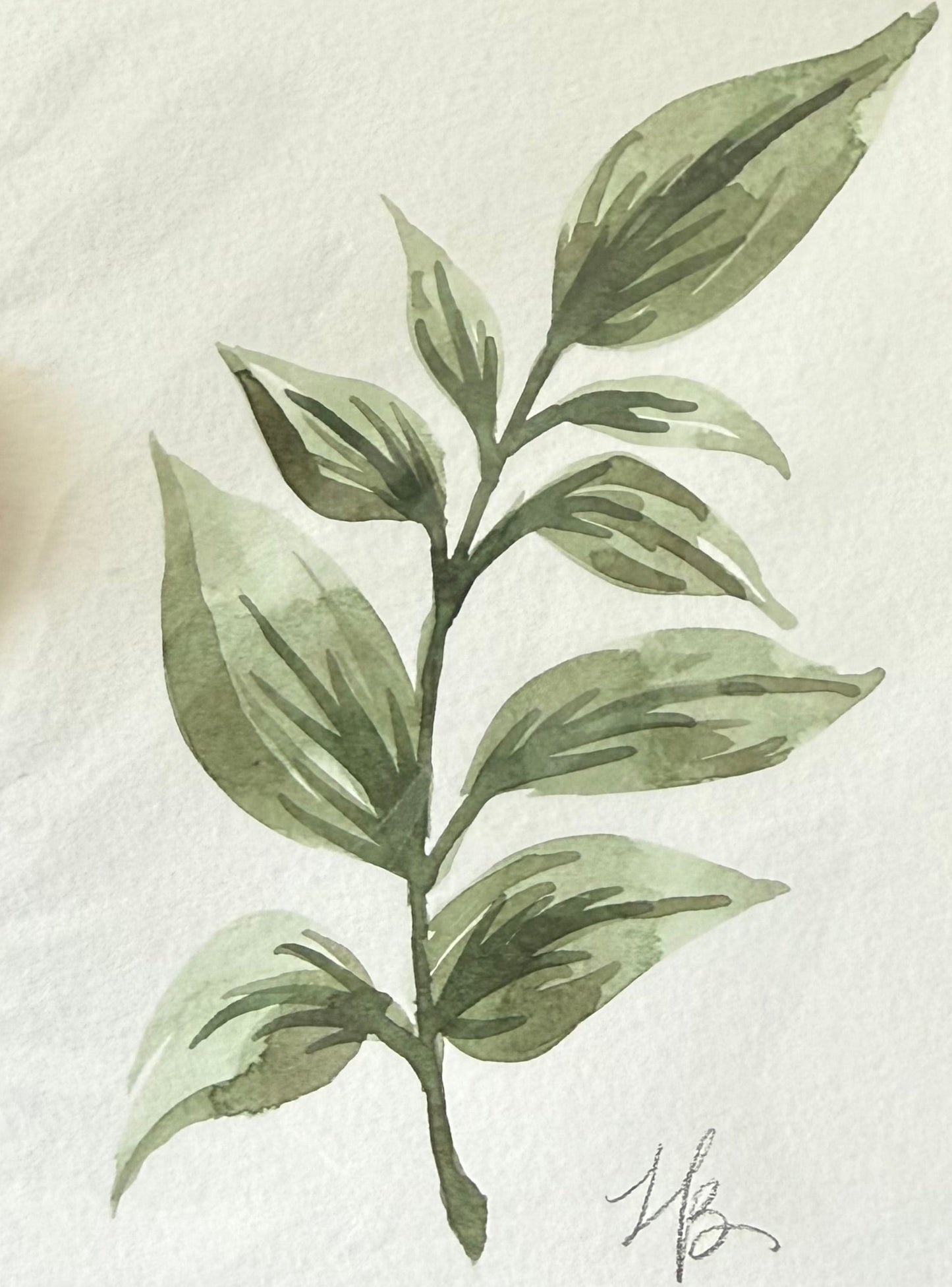 Leafy Green 3