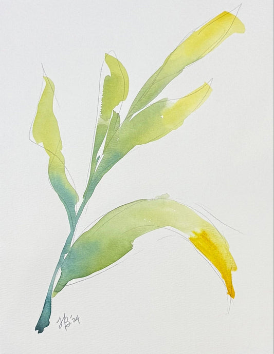 Loose Leaf 1