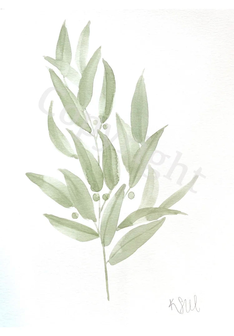 Olive Leaf 2