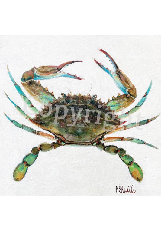 Blue Crab 2