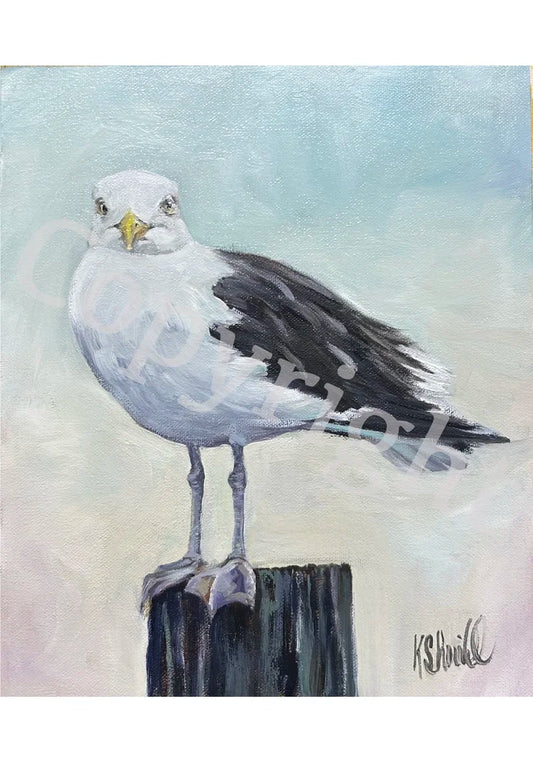 Seagull on Perch