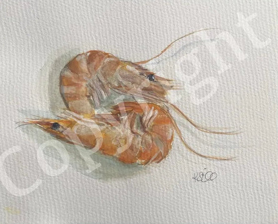 Shrimp