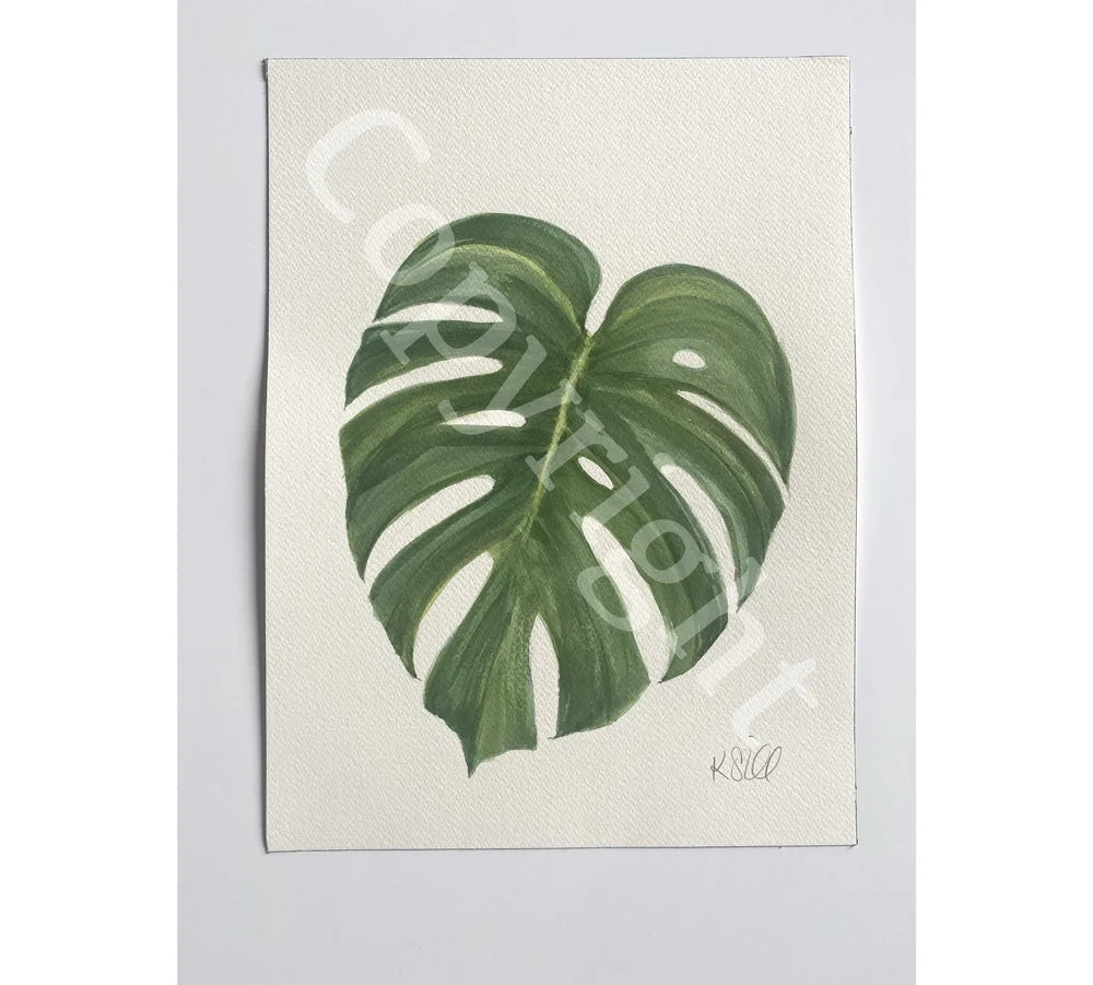 Monstera Leaf