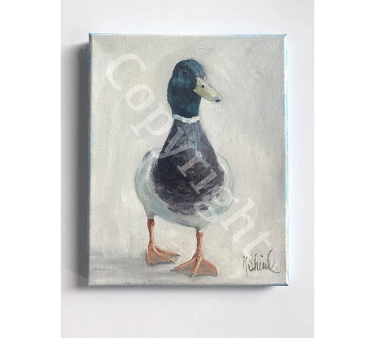 Duck