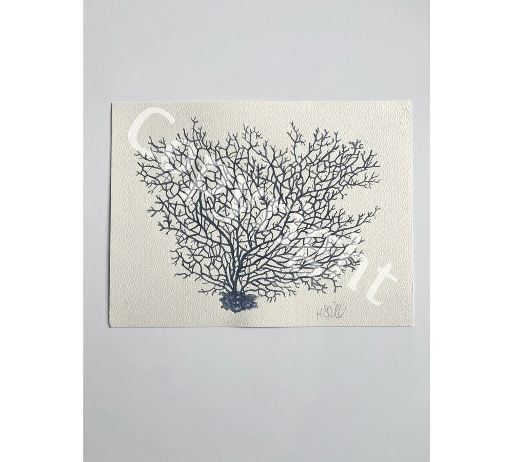 Blue Coral 3