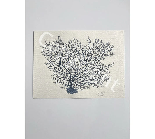 Blue Coral 3