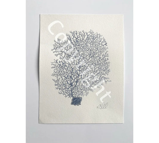 Blue Coral