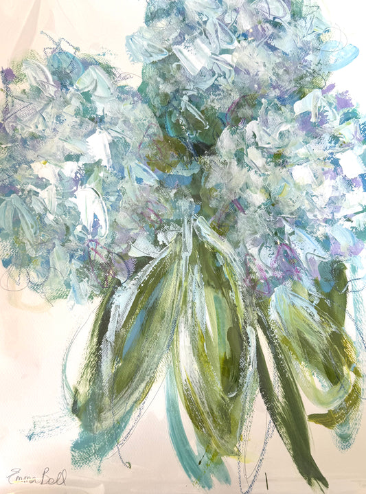 Aqua Hydrangea Bloom!