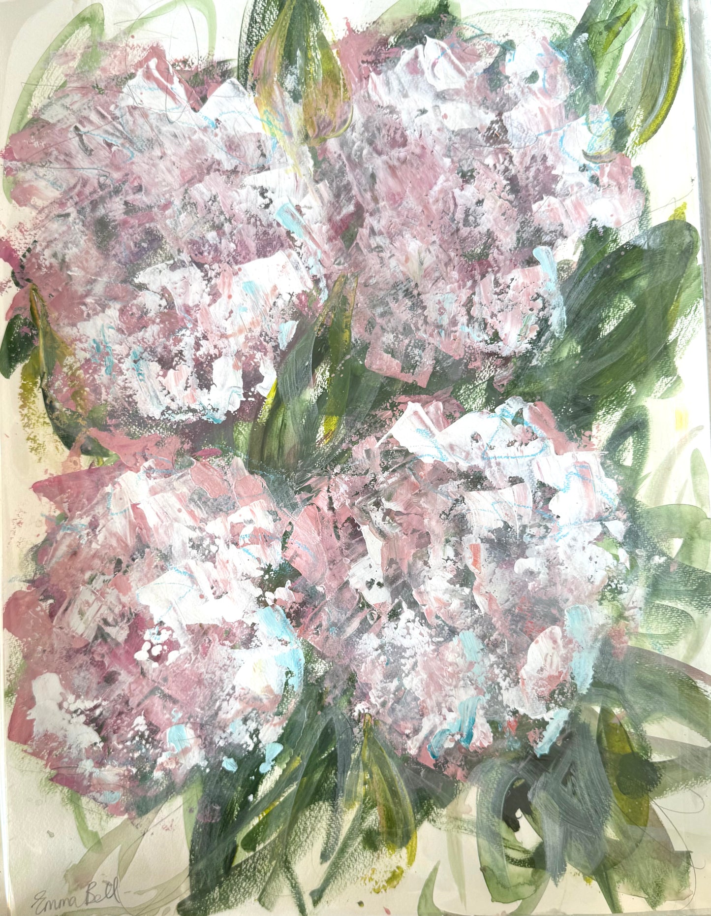 Wild Pink Hydrangeas