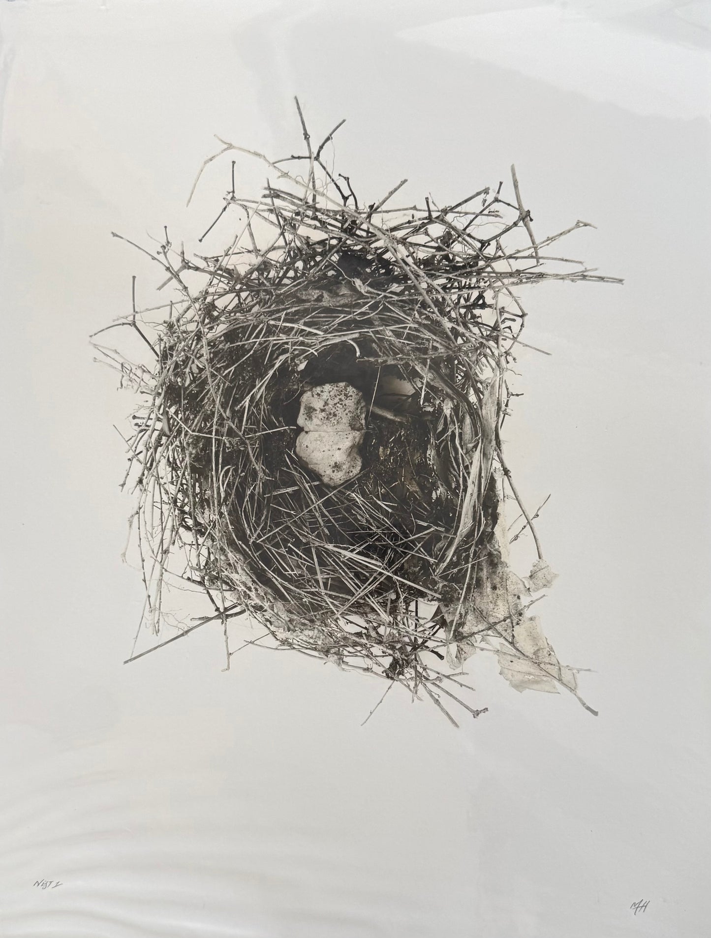 Nest 1 Large