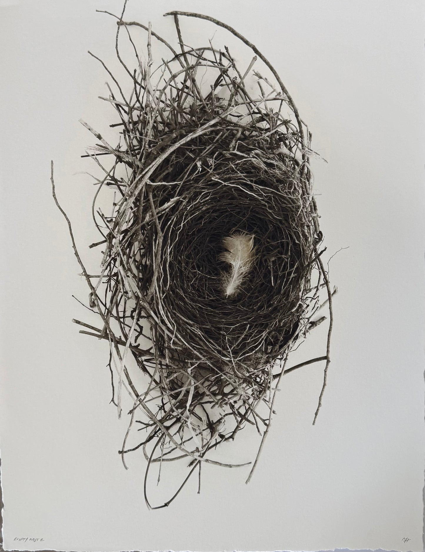 Empty Nest 2 Large
