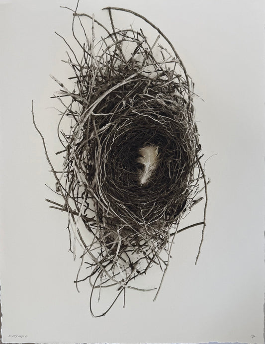 Empty Nest 2 Large