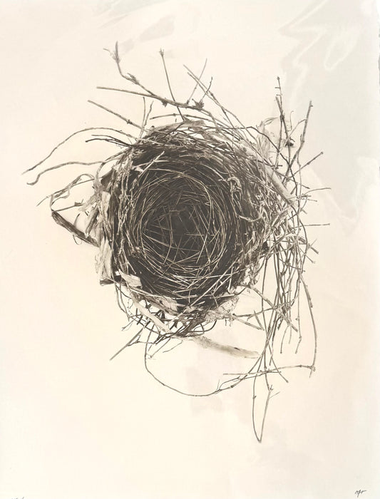 Nest 4 Large