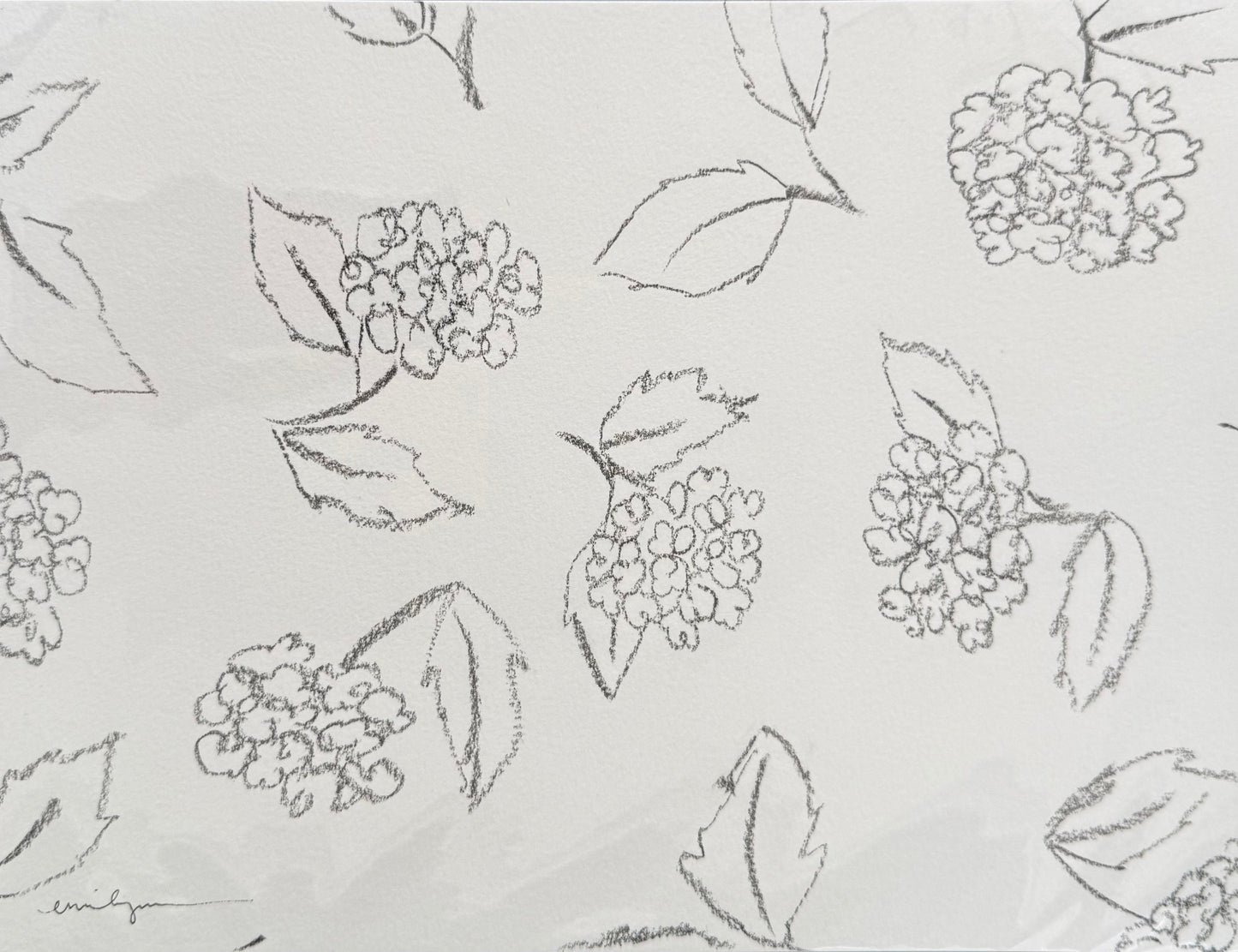 Hydrangeas 1