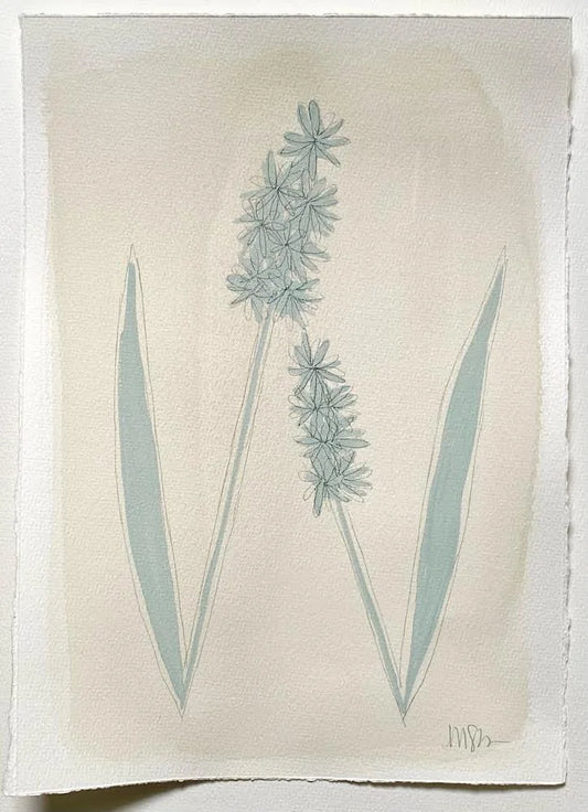 Seafoam Botanicals 1