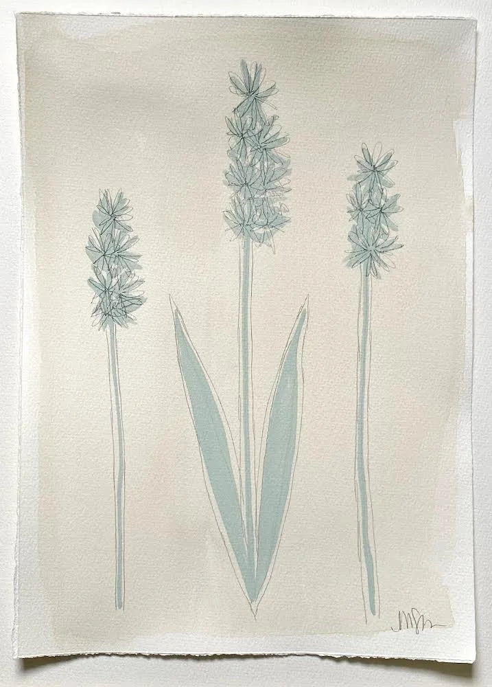 Seafoam Botanicals 2