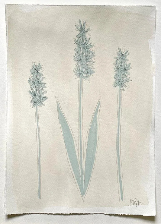 Seafoam Botanicals 2