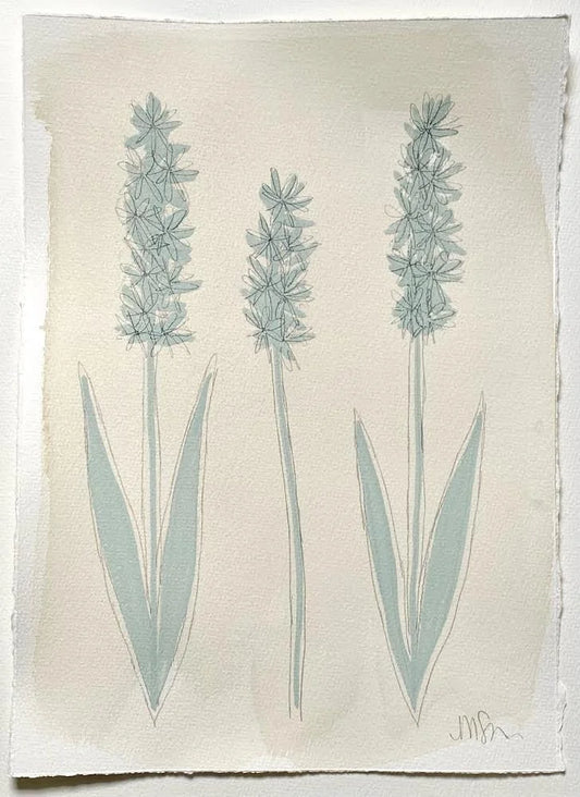 Seafoam Botanicals 8