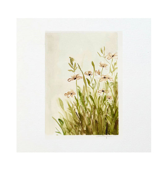 Watercolor Pink Daisys