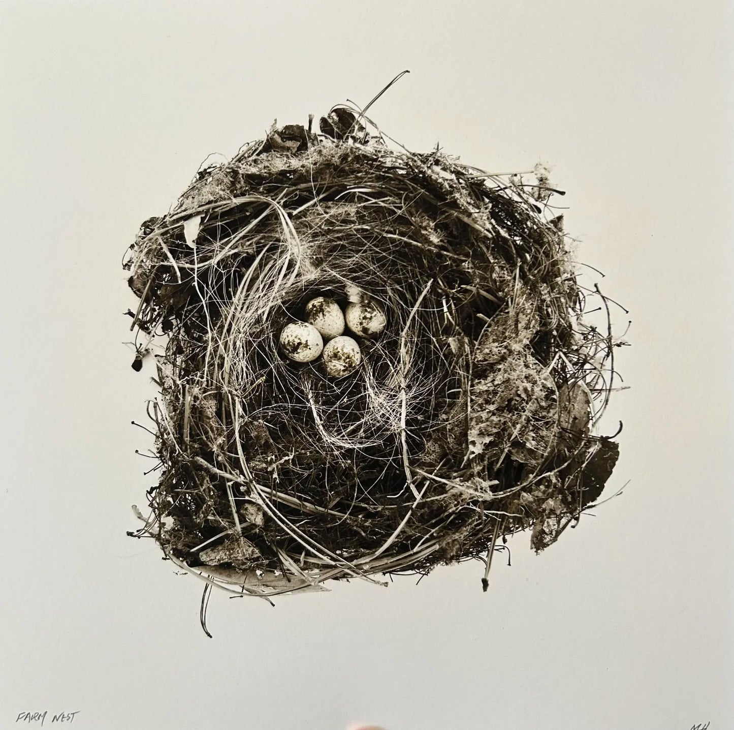Farm Nest