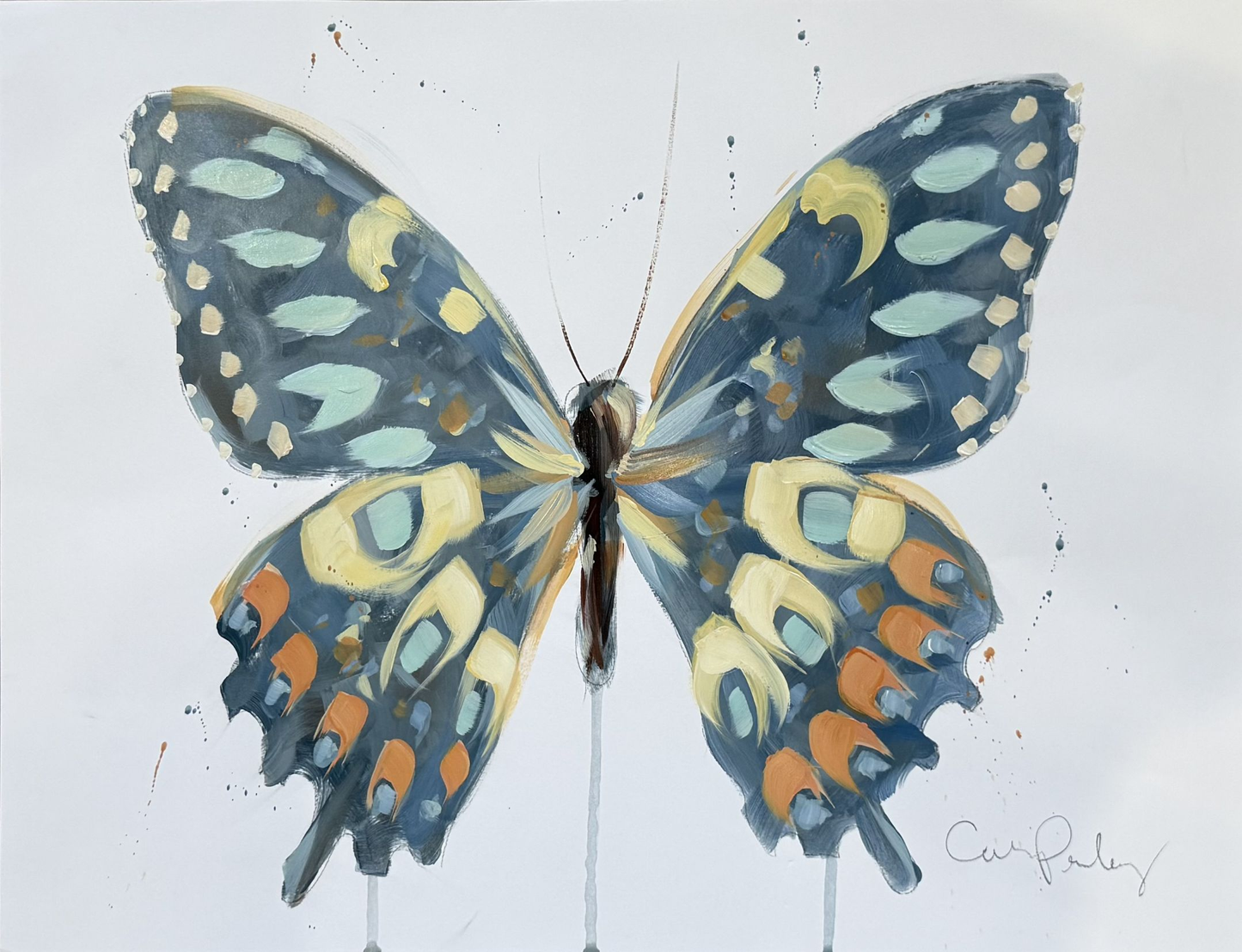 Steel Blue Butterfly