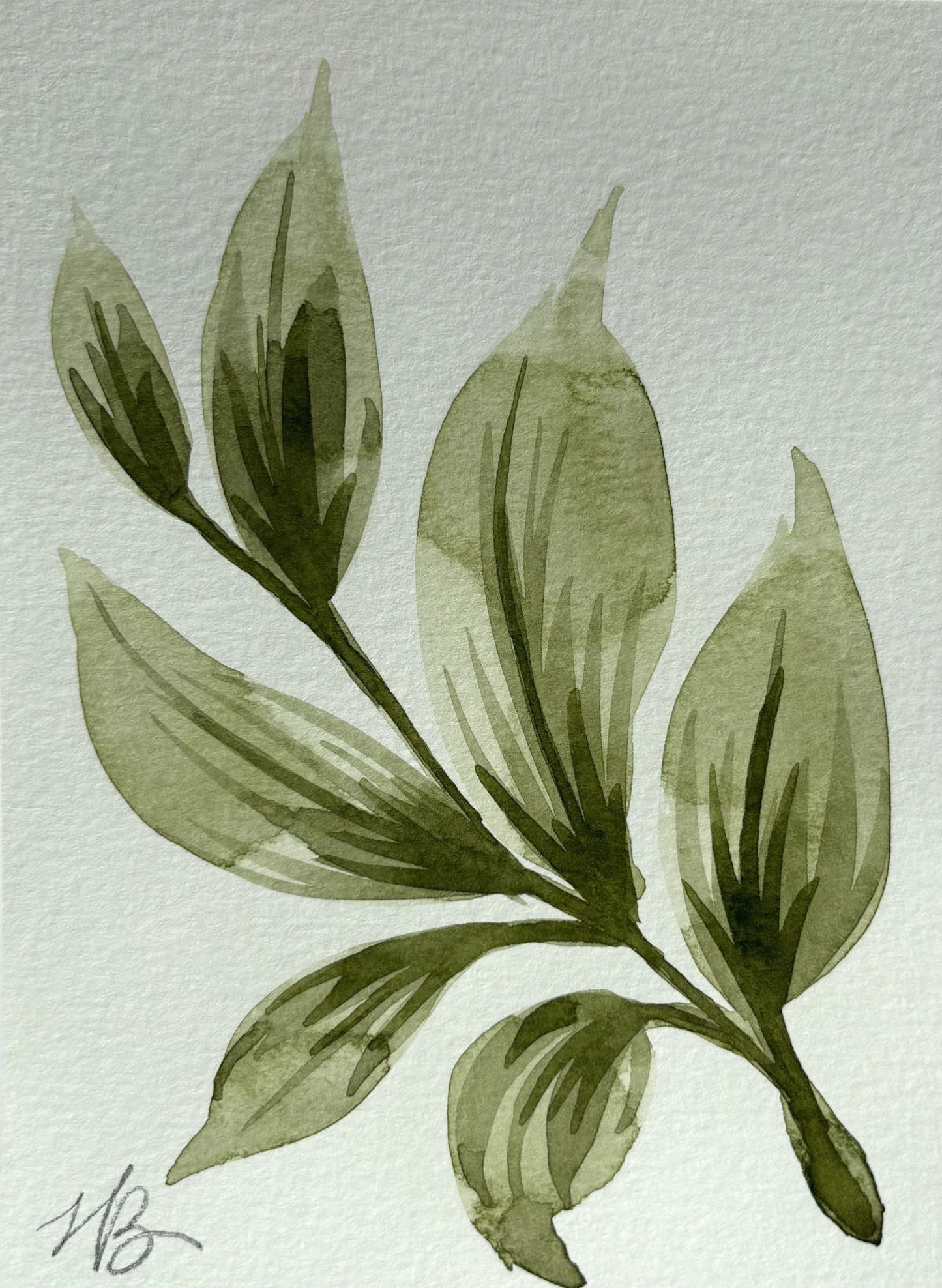 Leafy Green 1