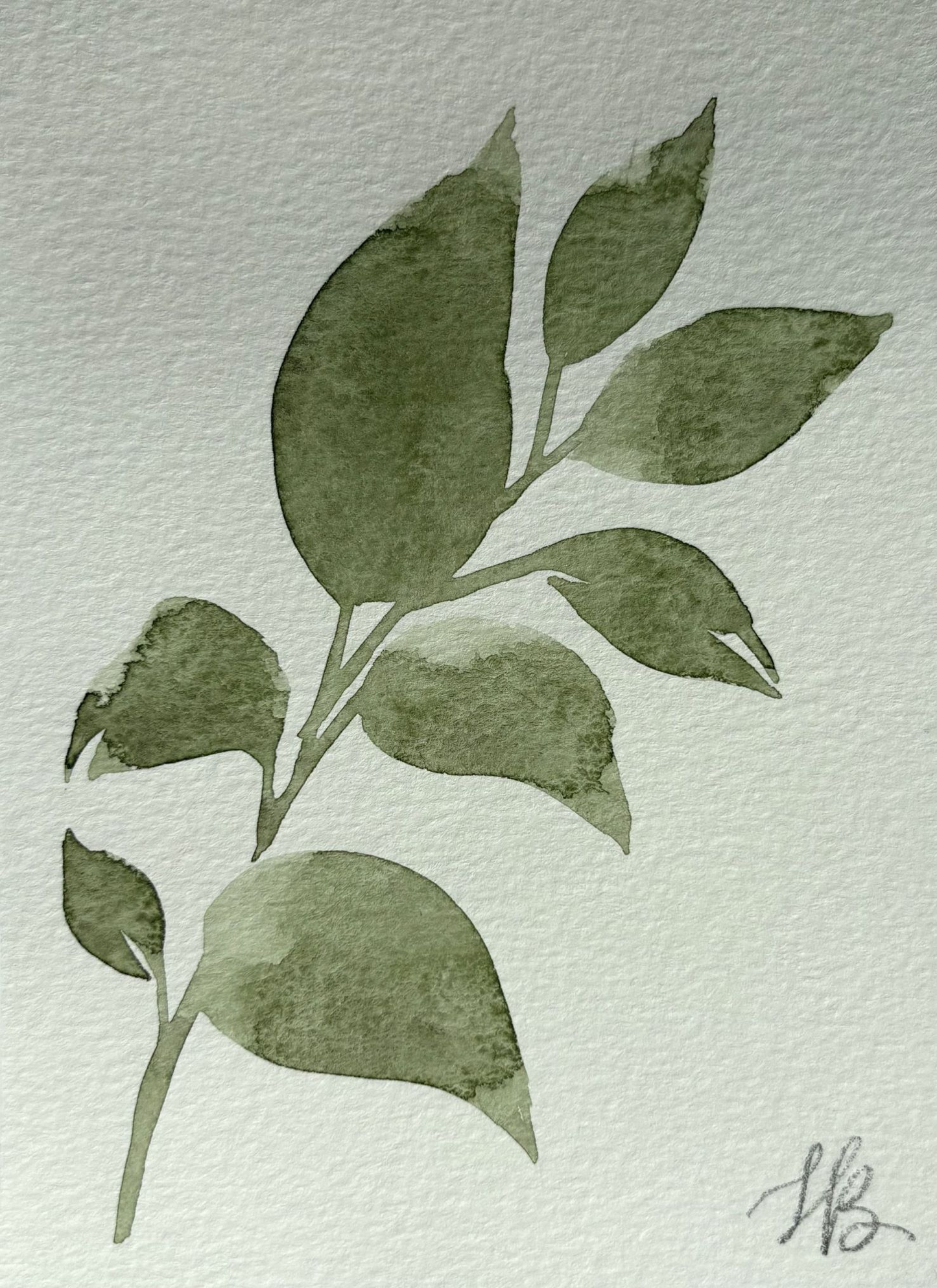 Leafy Green 9