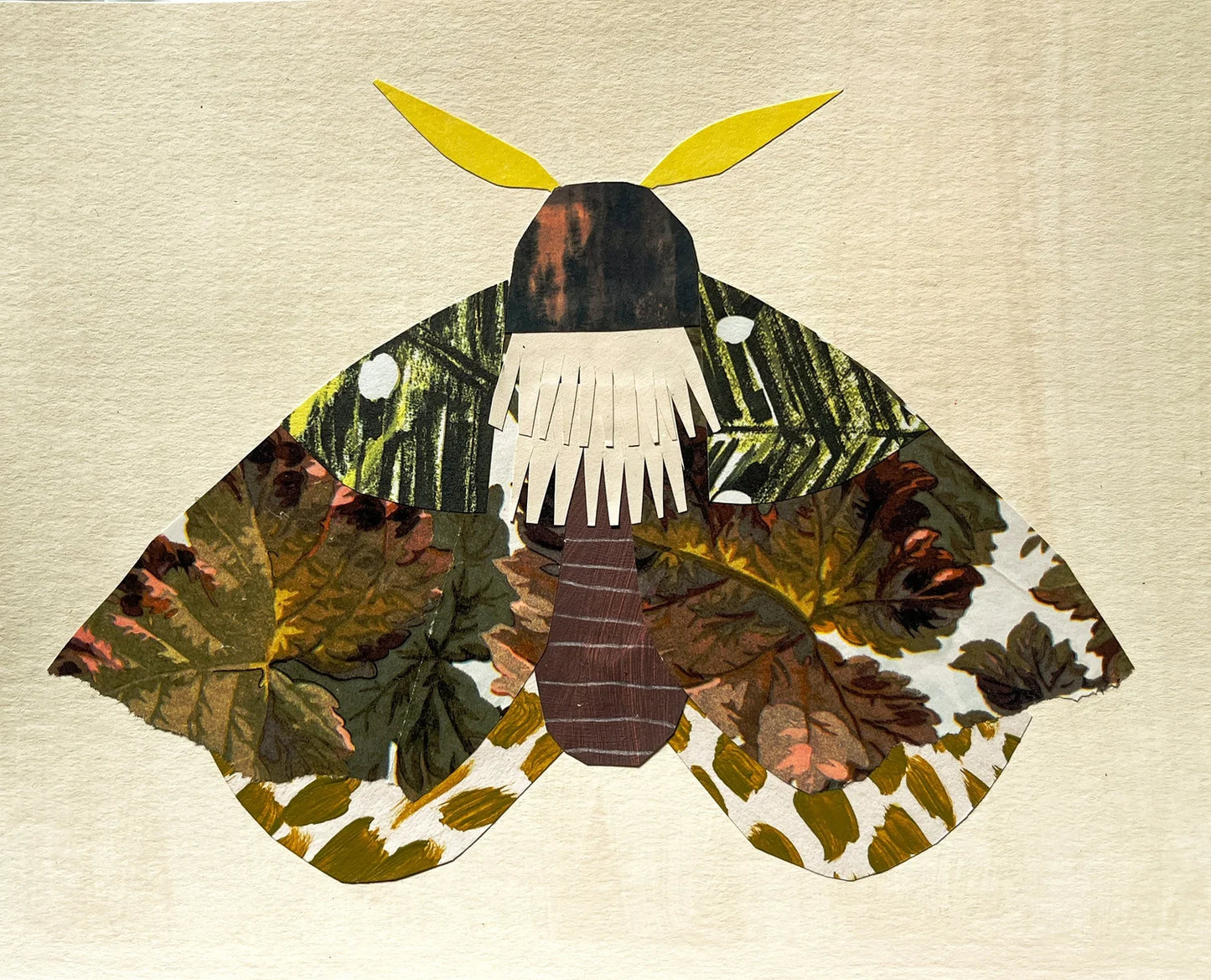 Moth 2