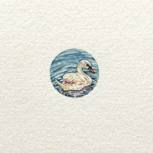 Swan